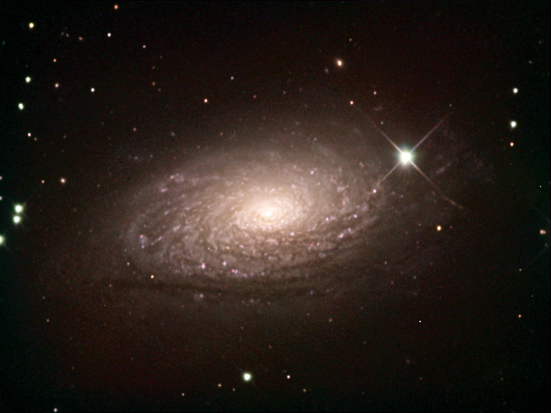 m63 Sunflower Galaxy - Galassia Girasole