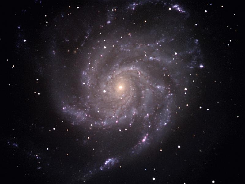 m101 pinwheel galaxy - galassia a pinwheele photo