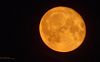 La Luna -- la luna piena , digitale su Celestron 114/900